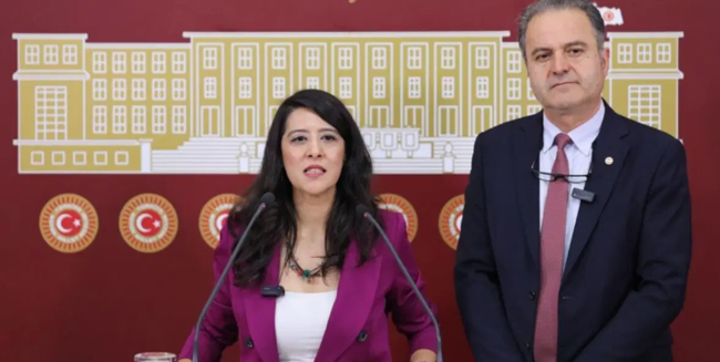 Deniz Göktaş'ın 'Ölü Deniz' gösterisi TBMM gündeminde: Akın Gürlek'e 5 soru - Resim : 1