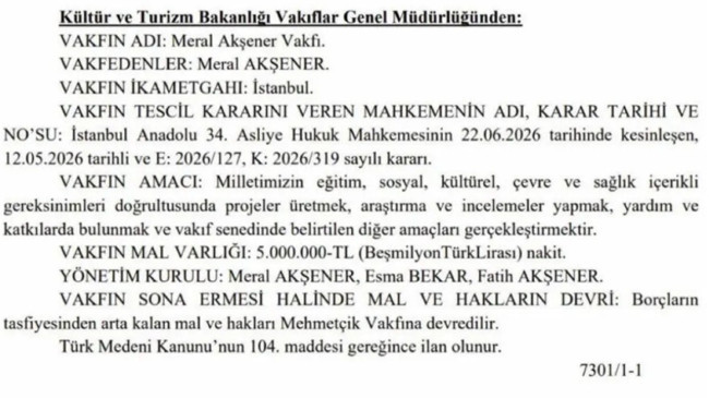 Meral Akşener sahalara geri dönüyor! Kuruluşu tamamlandı - Resim : 1