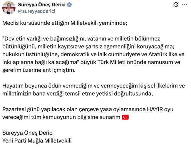 YENİ Parti’de ‘çerçeve yasa’ çatlağı! Süreyya Öneş Derici ‘hayır’ oyu vereceğini açıkladı… - Resim : 1