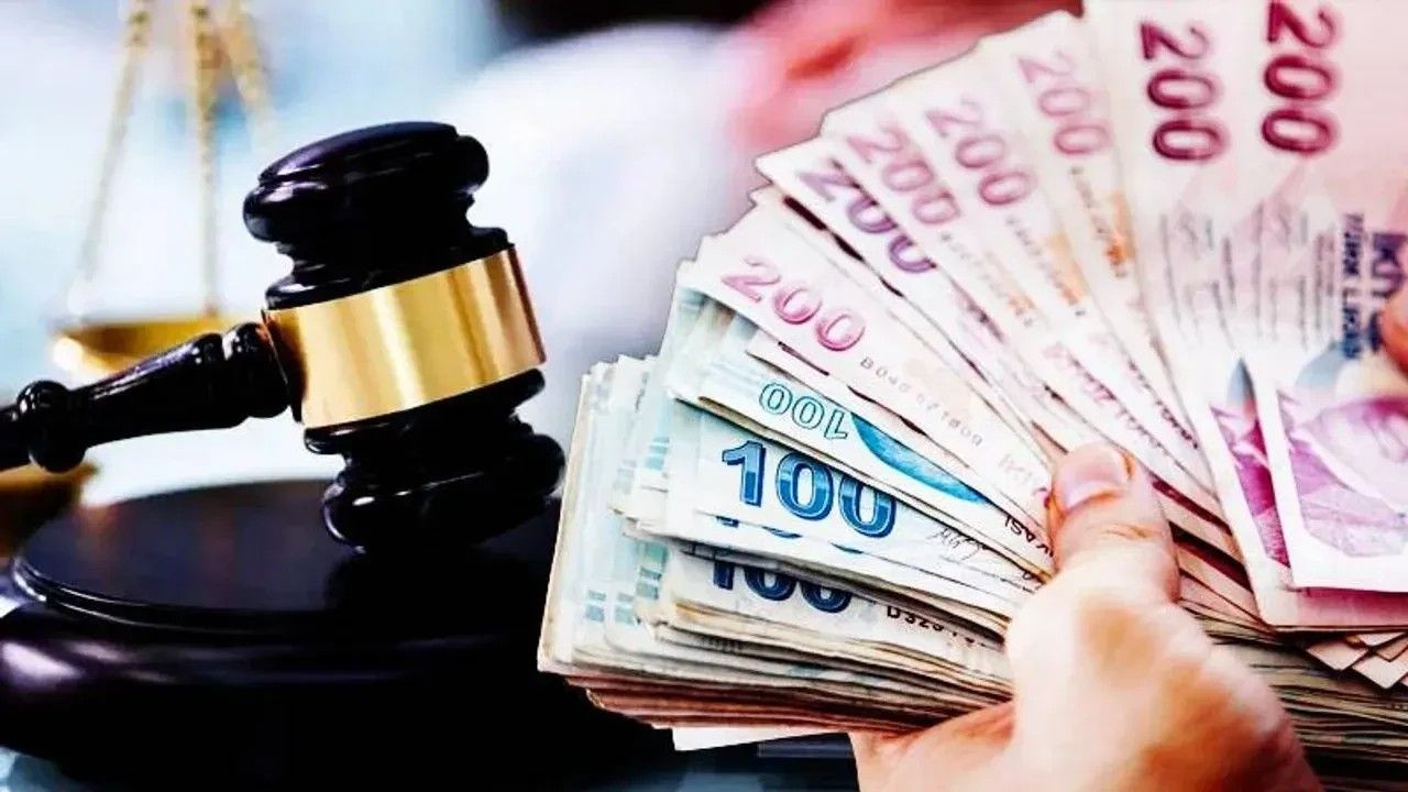 12. Yargı Paketi Meclis'ten geçti! Ceza, icra ve mirasta yeni dönem! - Sayfa 14