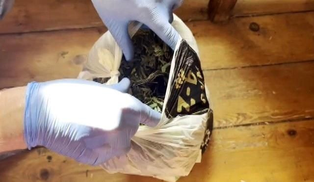 Gözaltındaki Ezel Akay'ın evinden şok görüntüler! Kenevir tarlasına çevirmiş - Sayfa 4