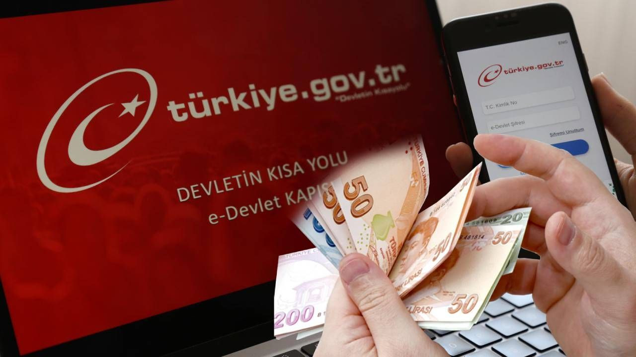 Unutulan hesap ve para için yeni hizmet! e-Devlet'te erişime açıldı… - Sayfa 3