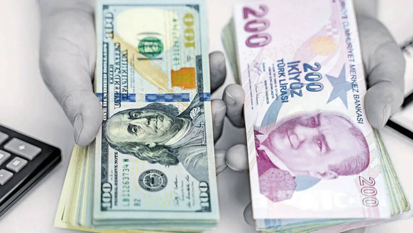 Fitch’ten piyasaları hareketlendirecek dolar tahmini! 60 TL için tarih verdi - Sayfa 13