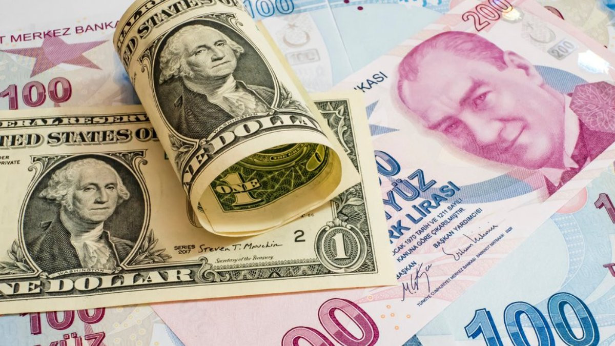 Fitch’ten piyasaları hareketlendirecek dolar tahmini! 60 TL için tarih verdi - Sayfa 10